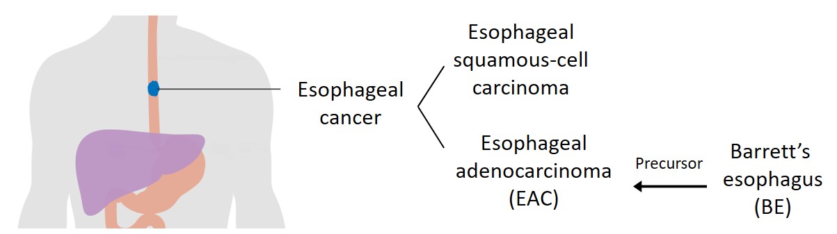 EC Figure